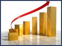 MIS Report Generation Services